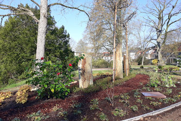 Memoriam-Garten Bremen, Waller Friedhof, Urnengrab Premium