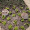 17) Grabbodenplatten